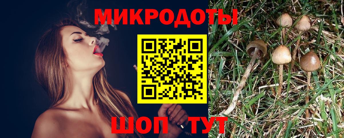 Рыбинск  Галлюциногенные грибы Psilocybine cubensis  Вход с VPN 