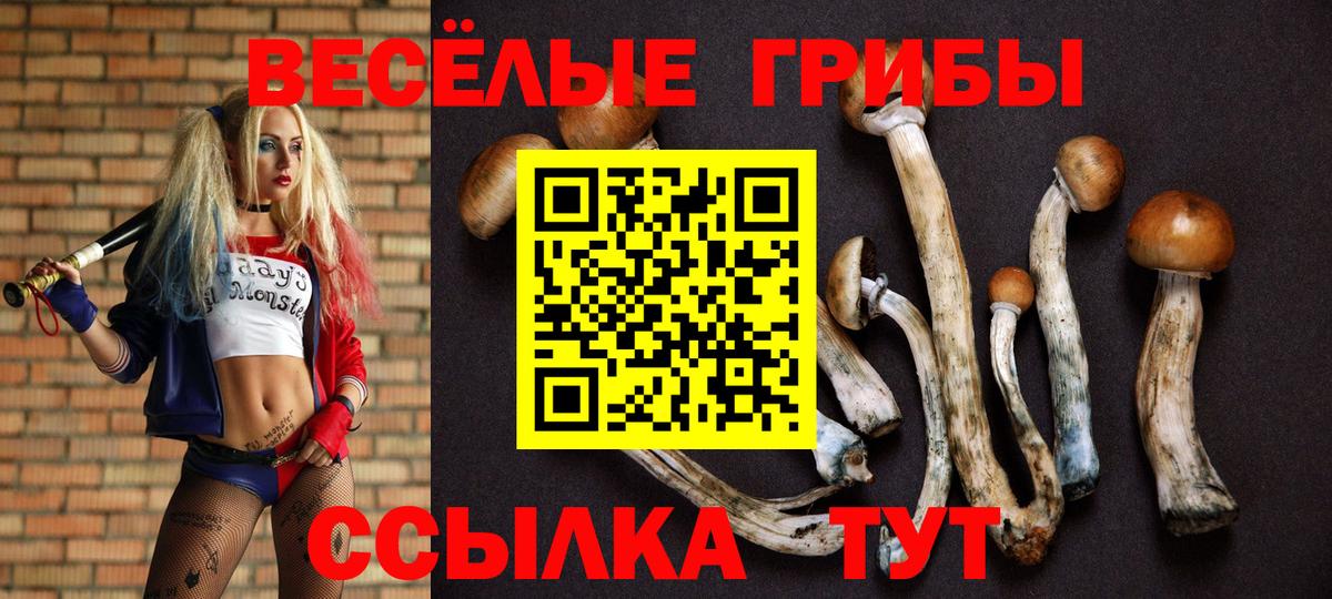 Галлюциногенные грибы ЛСД Рыбинск