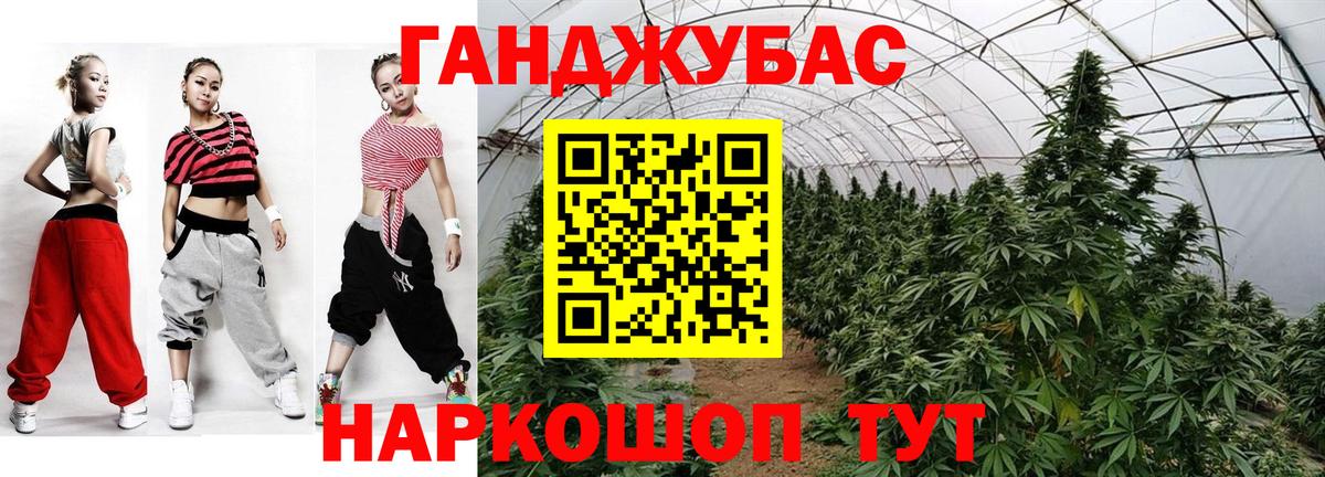 Бошки марихуана план  Бошки марихуана White Widow  Каннабис индика  Вход с VPN  Рыбинск 